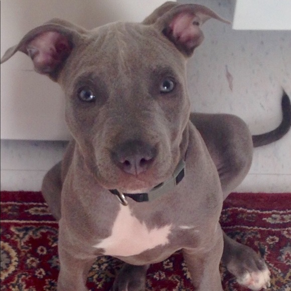 Meet your Posher, Tania - Picture 9 of 16